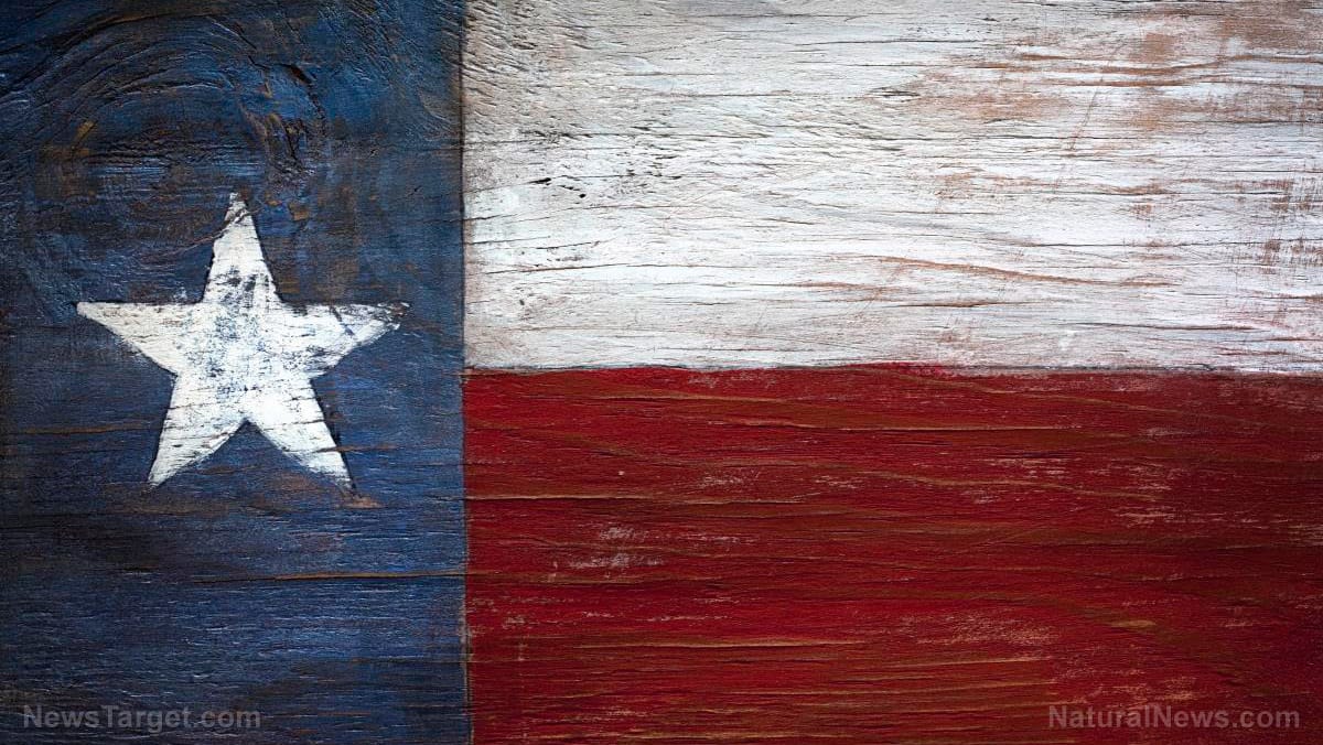 Texas-Flag-Paint-Wood-Old