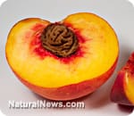 Amazing food facts: The seed of a peach contains an almond-like nut containing the anti-cancer medicine laetrile