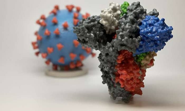 First results from human COVID-19 immunology study reveal universally effective antibodies